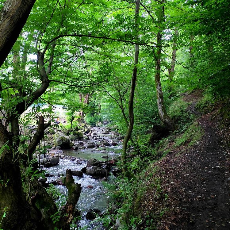 روستای نصفی شهرستان رودبار، نصفی گیلان، نصفی رستم آباد، آلش دشت، تپه ی مارلیک، جام مارلیک، مارلیک رستم آباد